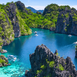 White Sand Beaches & Marine Life